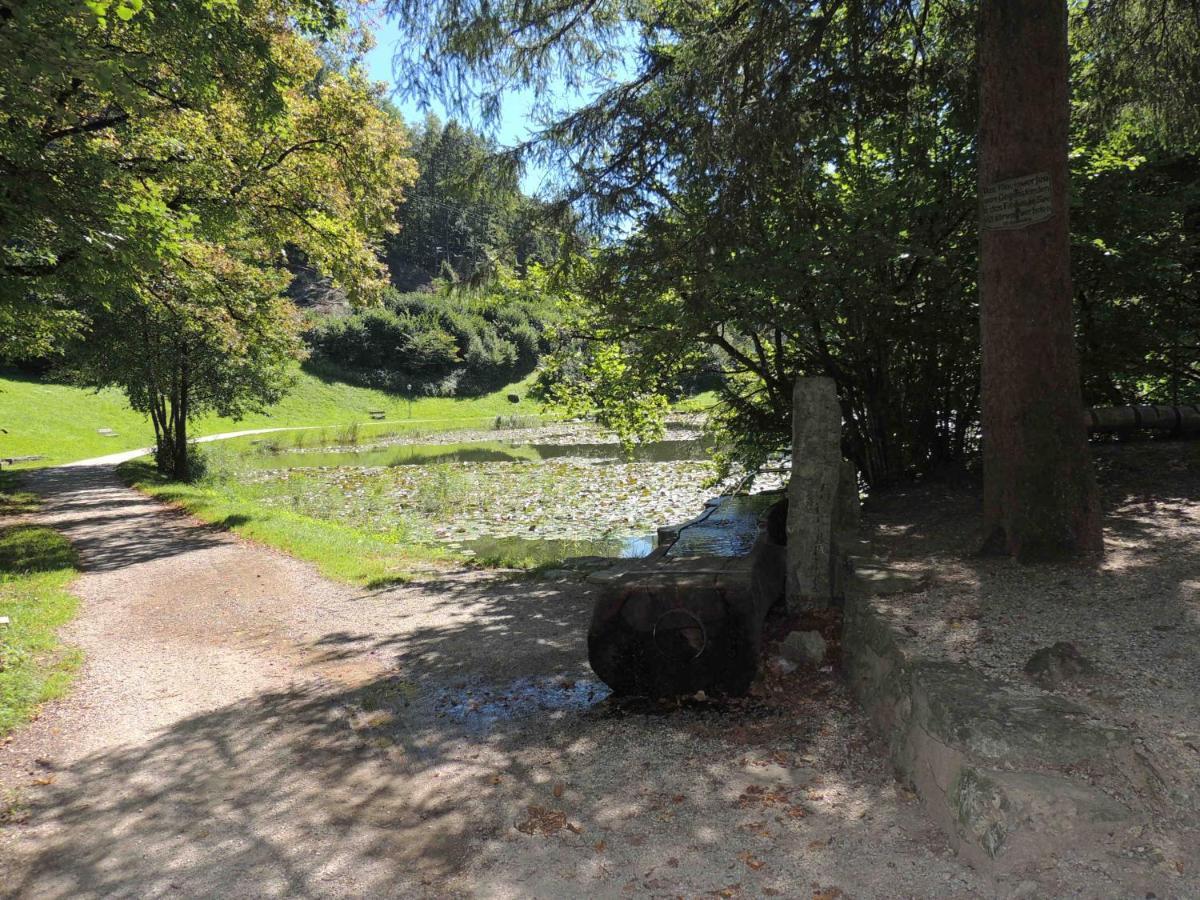 Hotel Adler Golling an der Salzach Bagian luar foto